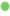 gut