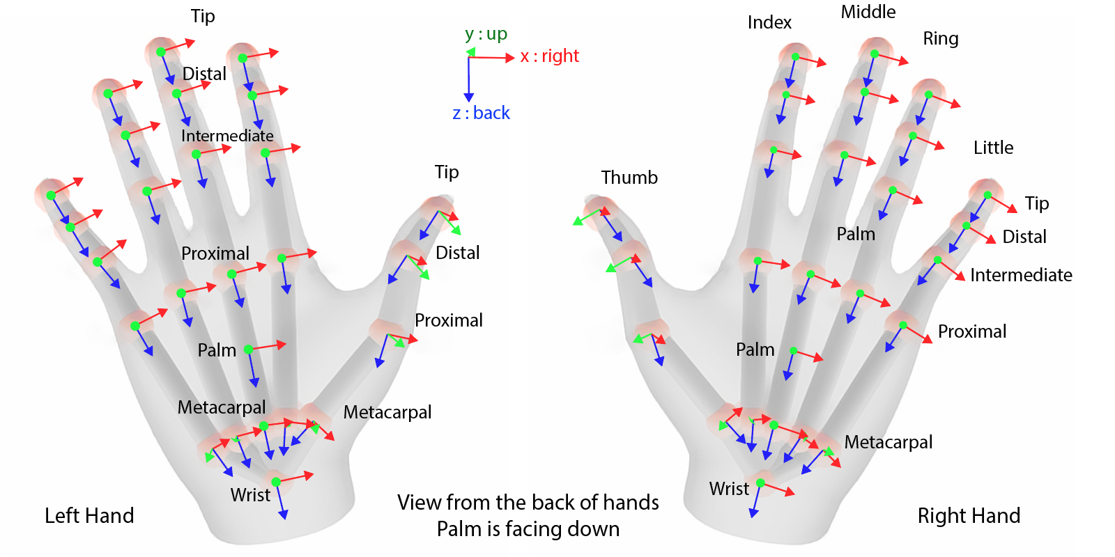 ../../../_images/hand_tracking_bones.png