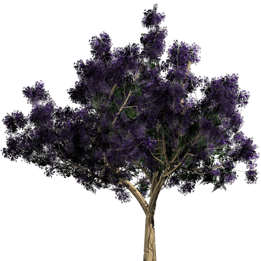 ../../_images/mesh2d1.png